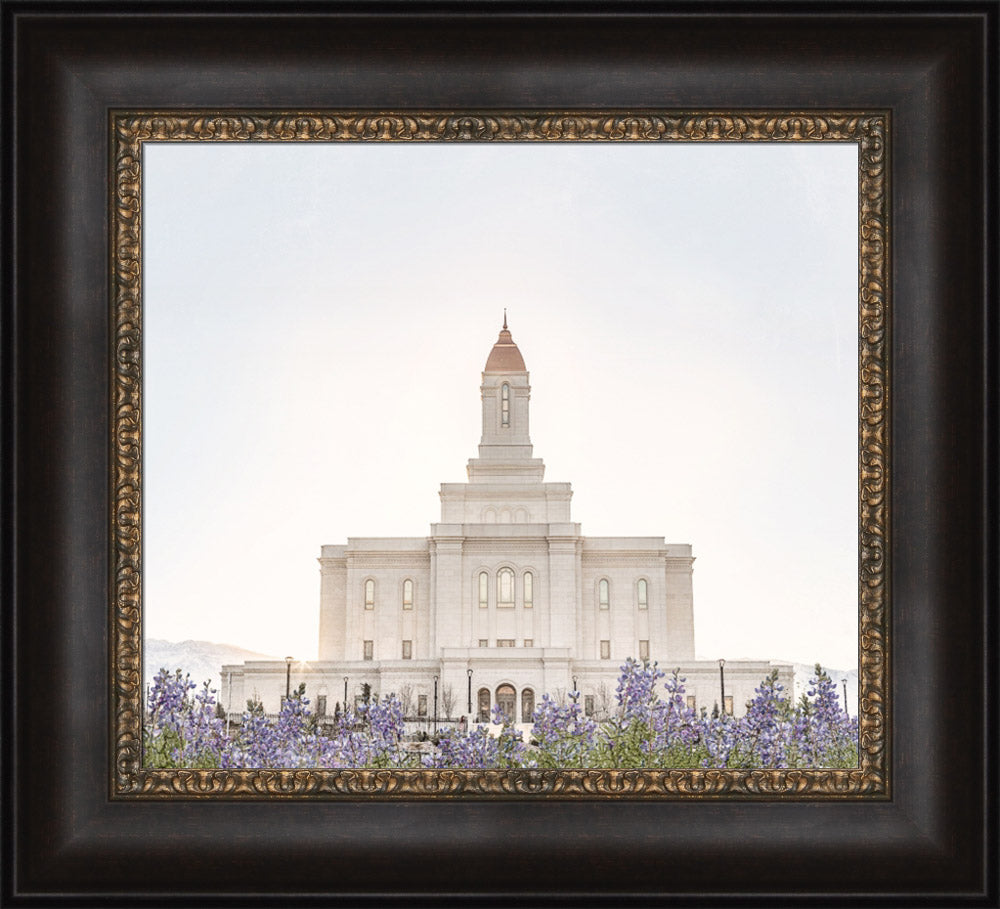 Deseret Peak Utah Temple- Mountain Lupine