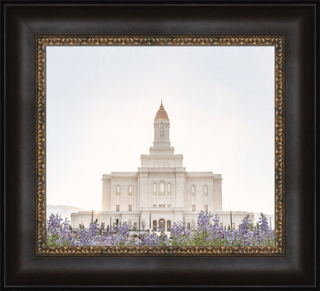 Deseret Peak Utah Temple- Mountain Lupine