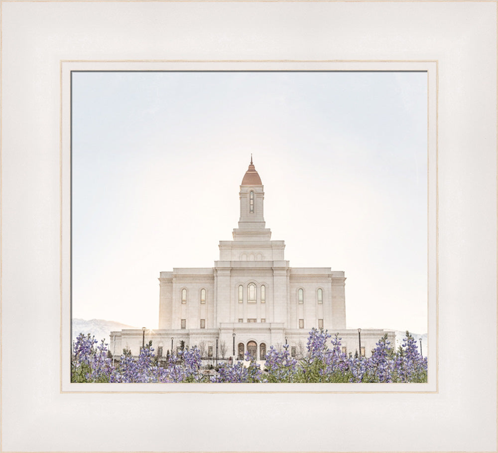 Deseret Peak Utah Temple- Mountain Lupine