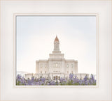 Deseret Peak Utah Temple- Mountain Lupine