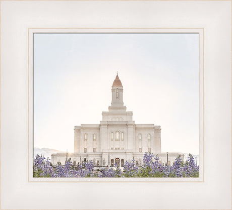 Deseret Peak Utah Temple- Mountain Lupine