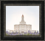 Deseret Peak Utah Temple- Mountain Lupine