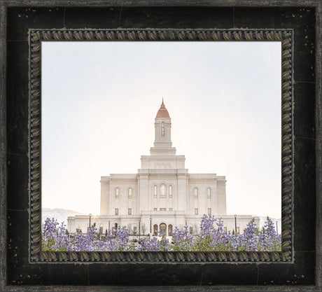Deseret Peak Utah Temple- Mountain Lupine