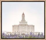 Deseret Peak Utah Temple- Mountain Lupine