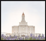 Deseret Peak Utah Temple- Mountain Lupine