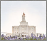 Deseret Peak Utah Temple- Mountain Lupine