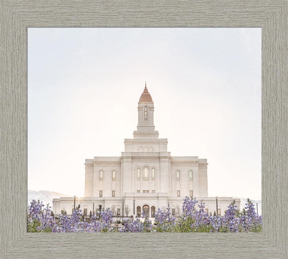 Deseret Peak Utah Temple- Mountain Lupine
