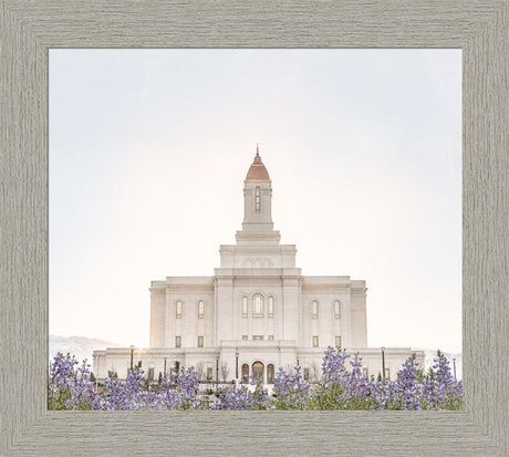 Deseret Peak Utah Temple- Mountain Lupine
