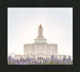 Deseret Peak Utah Temple- Mountain Lupine