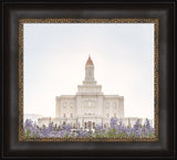 Deseret Peak Utah Temple- Mountain Lupine