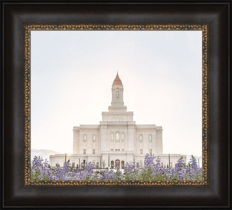 Deseret Peak Utah Temple- Mountain Lupine