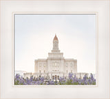 Deseret Peak Utah Temple- Mountain Lupine