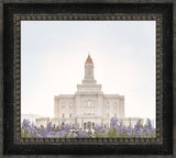 Deseret Peak Utah Temple- Mountain Lupine
