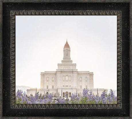 Deseret Peak Utah Temple- Mountain Lupine