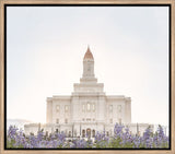 Deseret Peak Utah Temple- Mountain Lupine