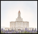 Deseret Peak Utah Temple- Mountain Lupine