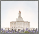 Deseret Peak Utah Temple- Mountain Lupine