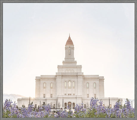 Deseret Peak Utah Temple- Mountain Lupine