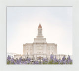 Deseret Peak Utah Temple- Mountain Lupine