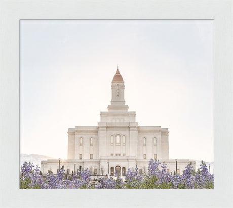 Deseret Peak Utah Temple- Mountain Lupine
