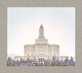Deseret Peak Utah Temple- Mountain Lupine