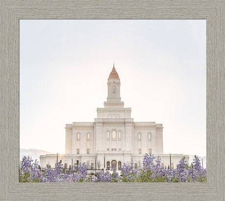 Deseret Peak Utah Temple- Mountain Lupine