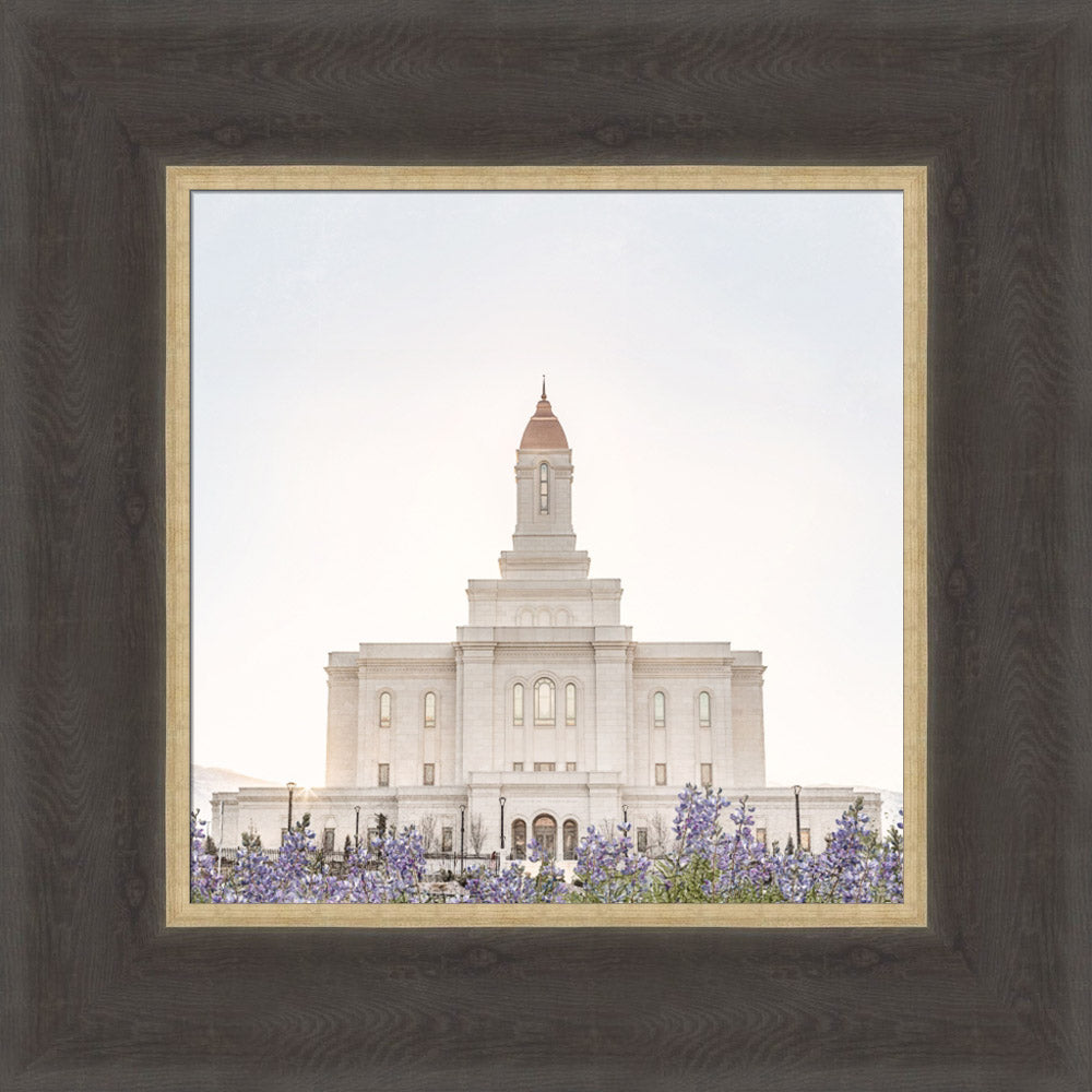 Deseret Peak Utah Temple- Mountain Lupine