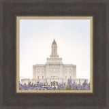 Deseret Peak Utah Temple- Mountain Lupine