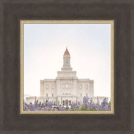 Deseret Peak Utah Temple- Mountain Lupine