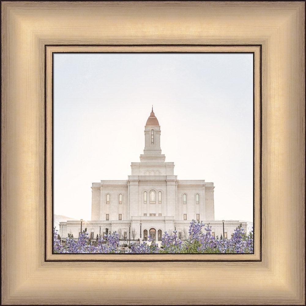 Deseret Peak Utah Temple- Mountain Lupine
