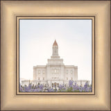Deseret Peak Utah Temple- Mountain Lupine