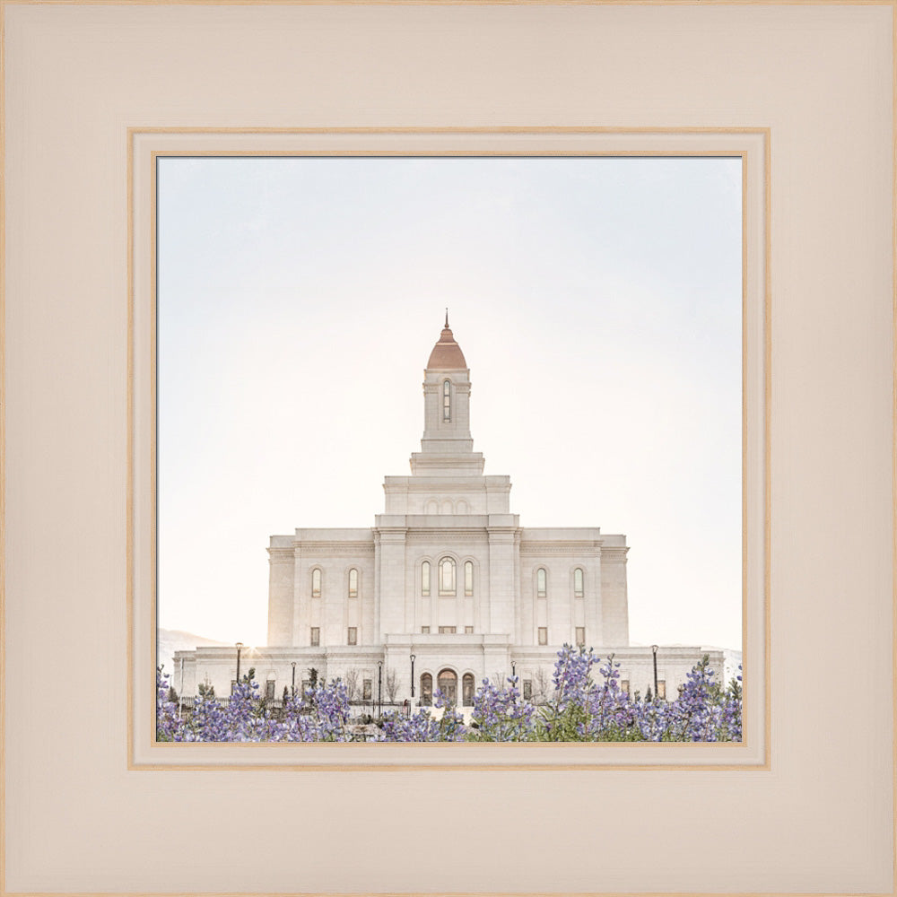 Deseret Peak Utah Temple- Mountain Lupine