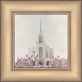 Syracuse Temple - House of Healing