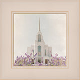 Syracuse Temple - House of Healing