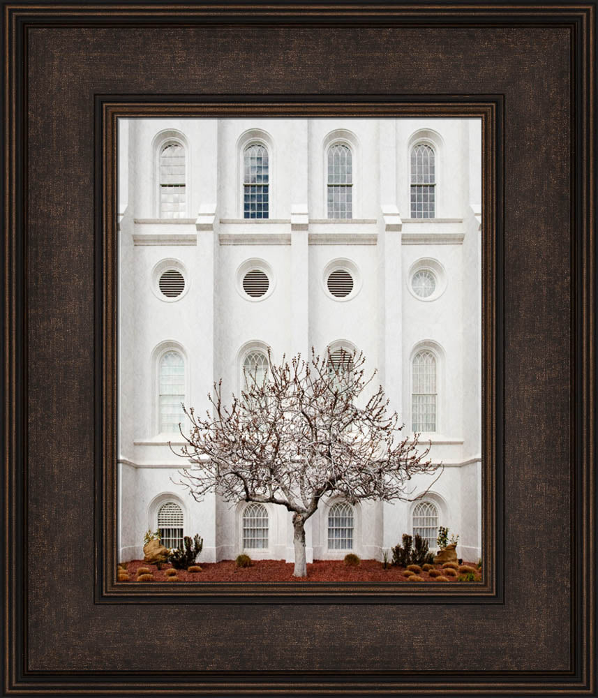 St George Temple - Arbor Alma