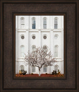 St George Temple - Arbor Alma