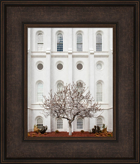 St George Temple - Arbor Alma