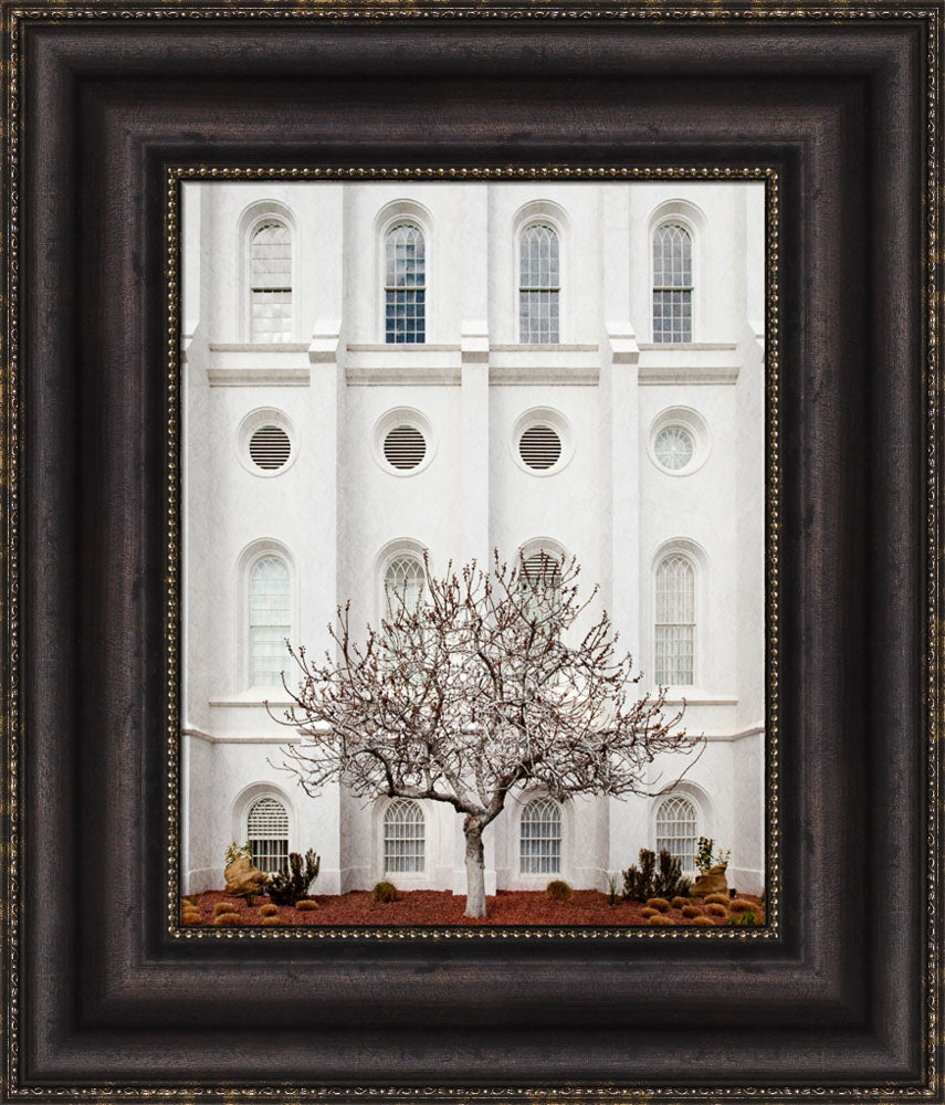 St George Temple - Arbor Alma