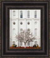 St George Temple - Arbor Alma