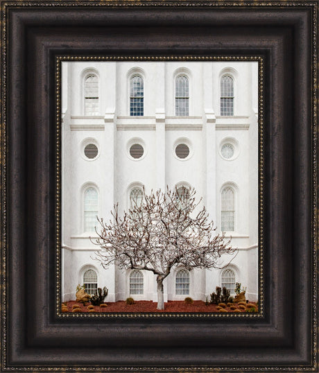 St George Temple - Arbor Alma