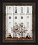 St George Temple - Arbor Alma