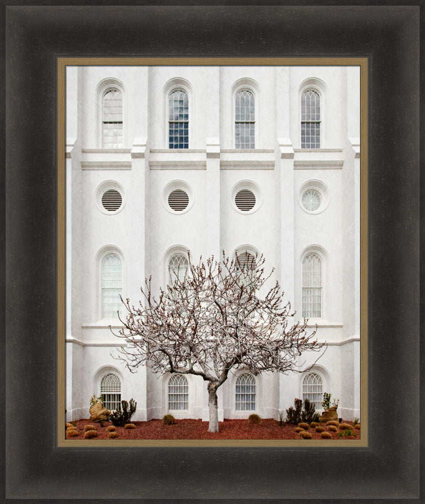 St George Temple - Arbor Alma