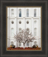 St George Temple - Arbor Alma