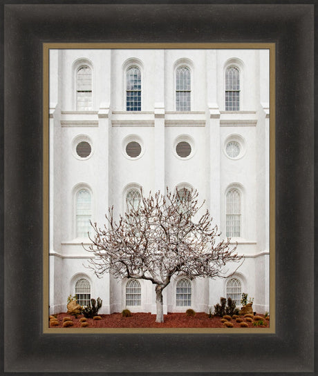 St George Temple - Arbor Alma