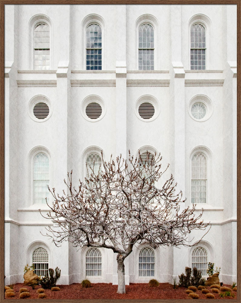 St George Temple - Arbor Alma