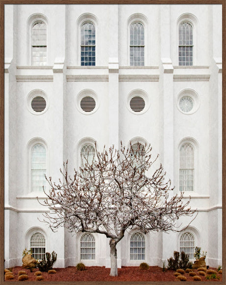 St George Temple - Arbor Alma