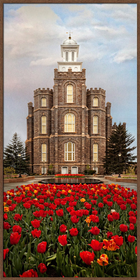 Logan Temple - Tulips