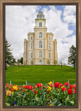 Manti Temple - Tulips and Grass