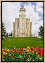 Manti Temple - Tulips and Grass