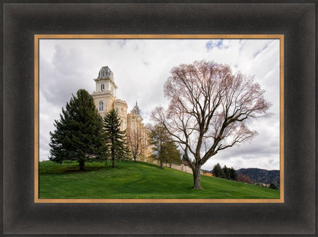 Manti Temple - Spring Hill